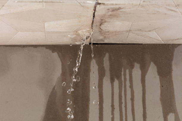 Professional Burst Pipe Cleanup technician working in Boon, MI